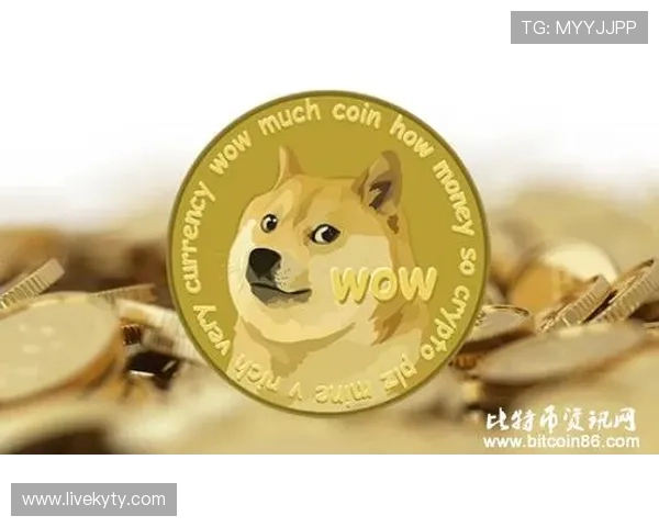 凯发集团娱乐平台官网入口官方最新登录地址及安全保障措施全面解析