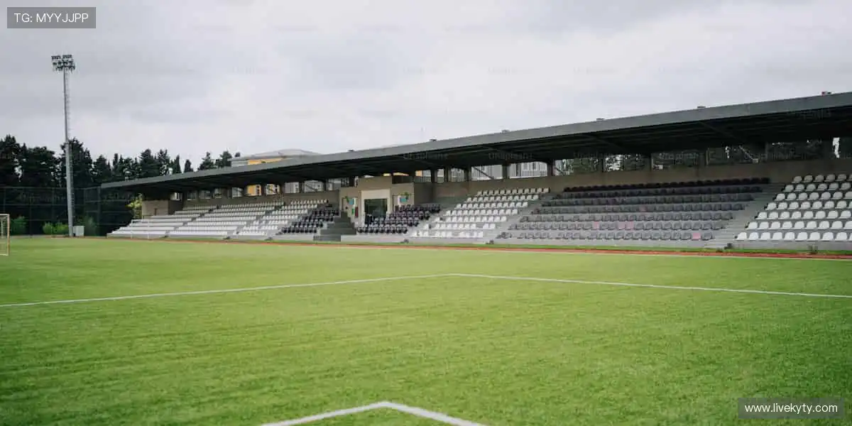 填字类手机游戏网：知识问答填字解谜，扩充你的知识储备